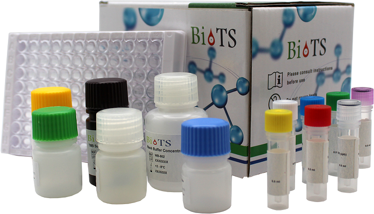 莱克多巴胺定量检测试剂盒